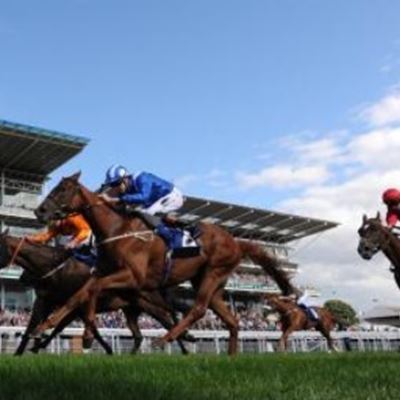 Horses in Form 